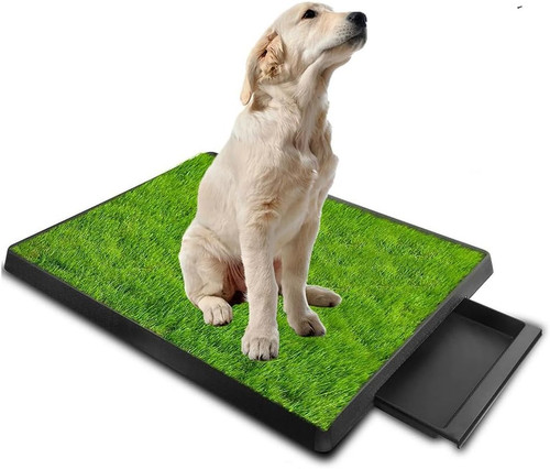 Lettiera per cani - per,