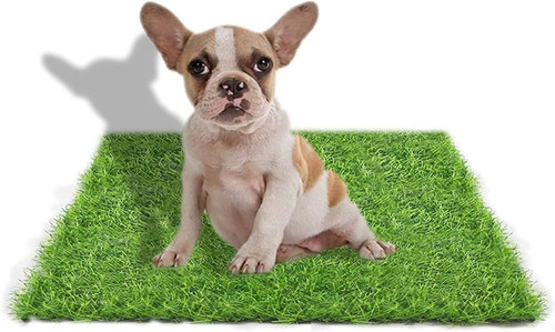 Cm lettiera per cani - *,