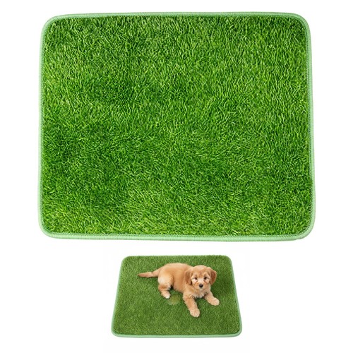 Lettiera per cani con - con, erba