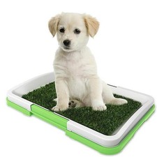 LETTIERA PER CANI CON ERBA