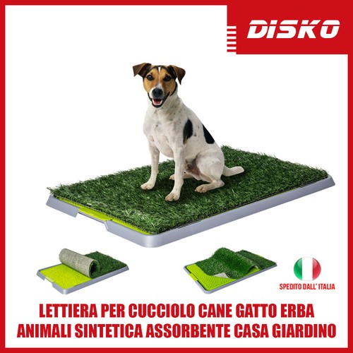 Lettiera per cane - lettiera,