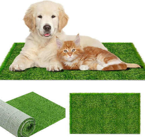 Lettiera per cani - lettiera,