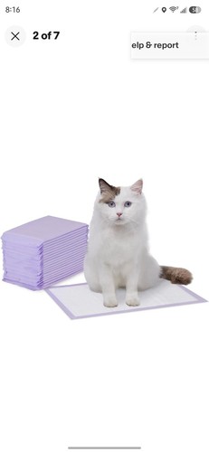 Pastiglie per pipì gatto - pastiglie,