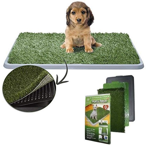 Lettiera maxi per cani e - lettiera,