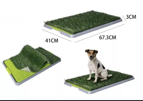 Lettiera assorbente per - , cane
