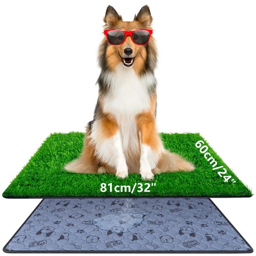 Lettiera per cani 60 - per, x
