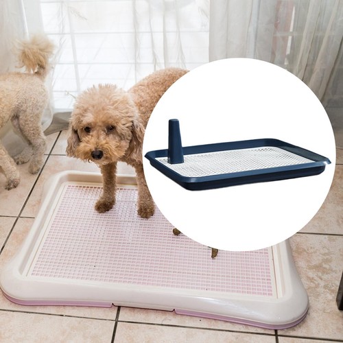 Lettiera per cani mantiene - per, la