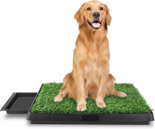 Lettiera per cani con erba - lettiera,
