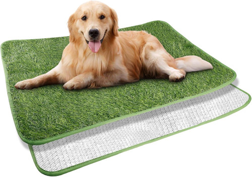 Lettiera per cani - per,