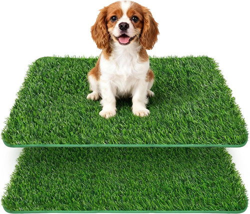 Lettiera per cani - per,