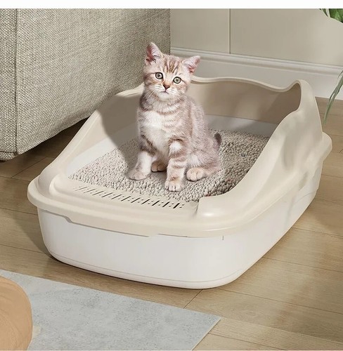 Lettiera per gatti per gatti