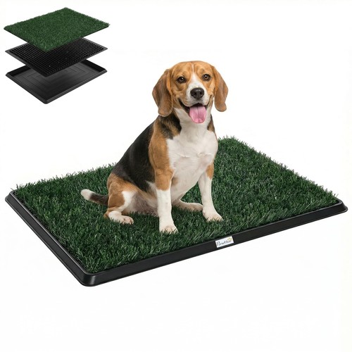 Lettiera per cani - lettiera,