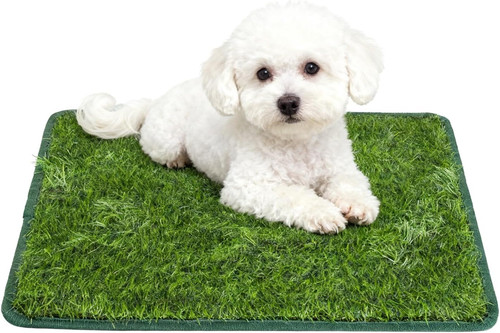 Lettiera per cani balcone - lettiera, cani,