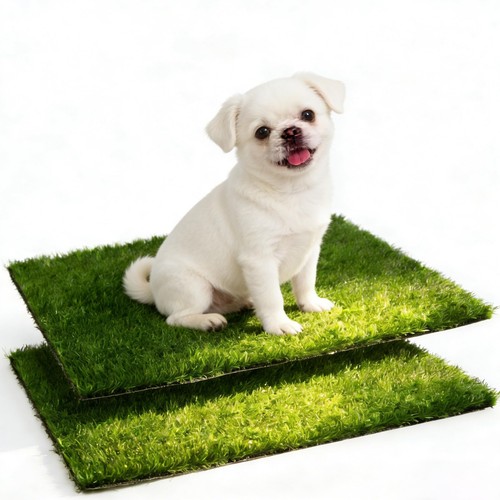 Lettiera per cani pezzi 5 - lettiera, 2