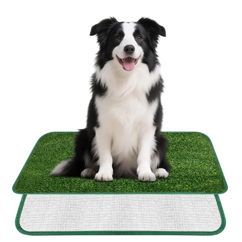 Lettiera per cani dog - per, toilette