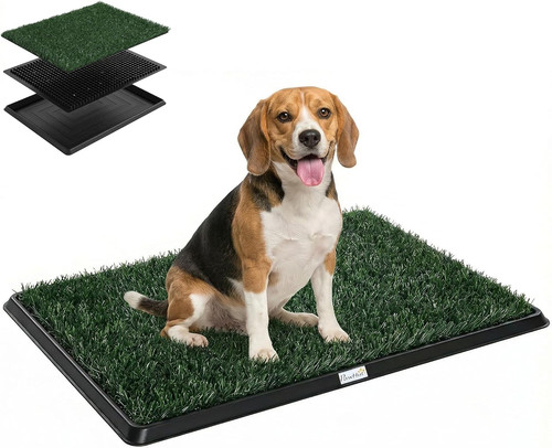 Lettiera per cani con prato - lettiera,